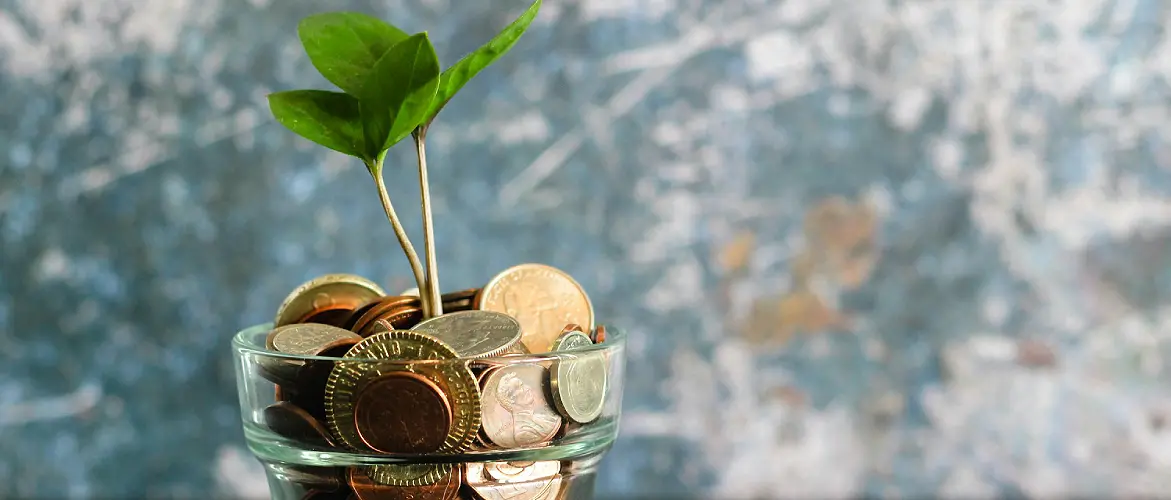charity fundraising services charity fundraising services